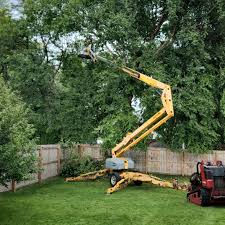 Leaf Removal in Lake Crystal, MN